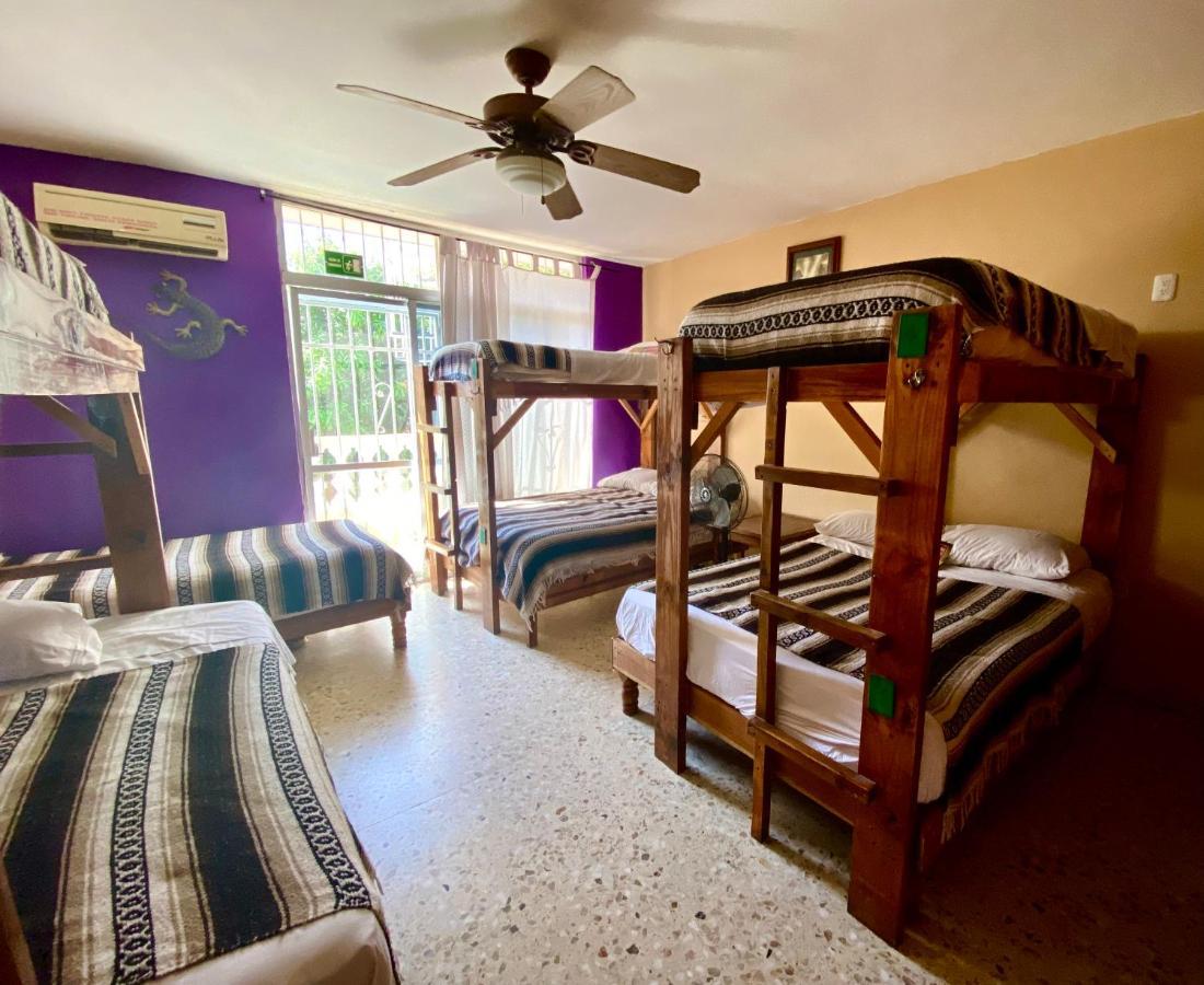 Wandering Monkey Guesthouse Mazatlán Eksteriør bilde