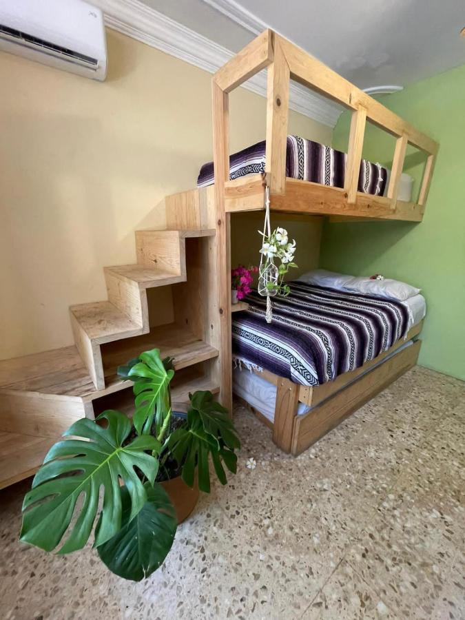 Wandering Monkey Guesthouse Mazatlán Eksteriør bilde